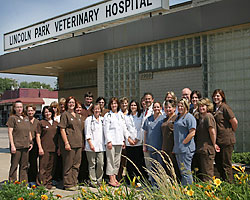 Lincoln Park Veterinary Hospital Staff